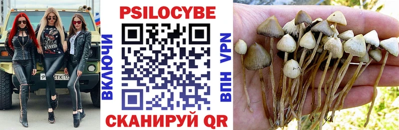 Галлюциногенные грибы GOLDEN TEACHER  где продают   Яровое 